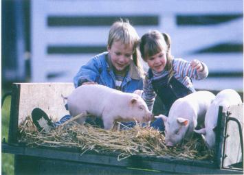 室內采暖系統（熱水伴熱，養殖采暖，太陽能伴熱）